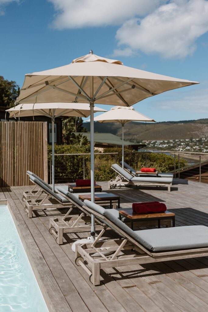 Elephant Hide of Knysna Guest Lodge (2)