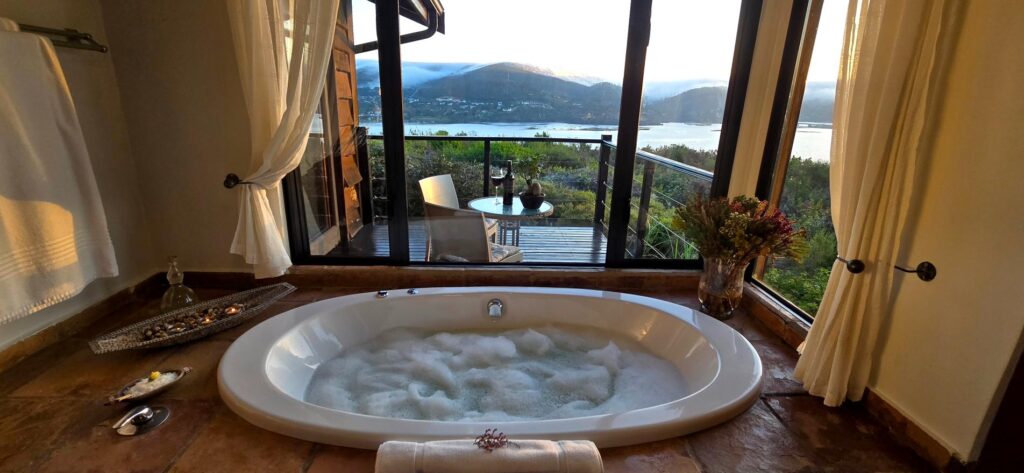 Elephant Hide of Knysna Guest Lodge (27)