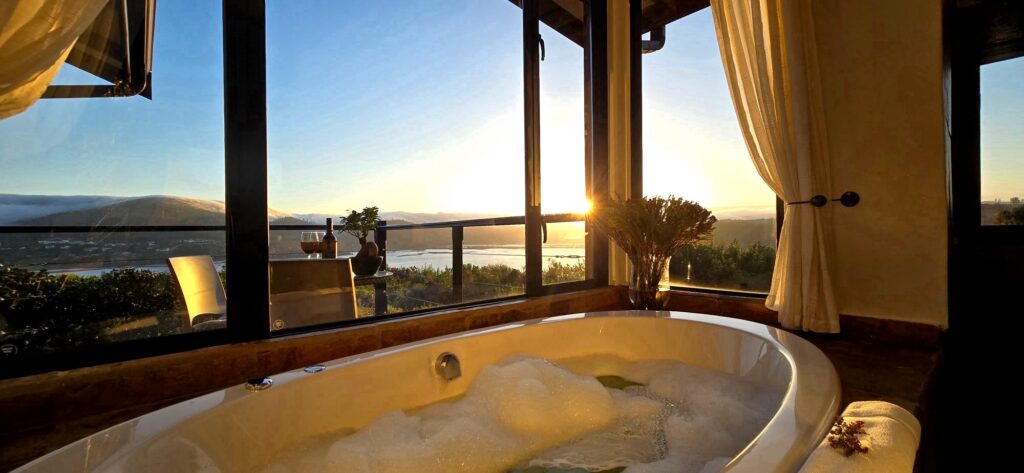 Elephant Hide of Knysna Guest Lodge (28)