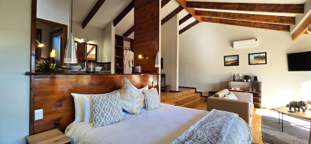 Elephant Hide of Knysna Guest Lodge (31)