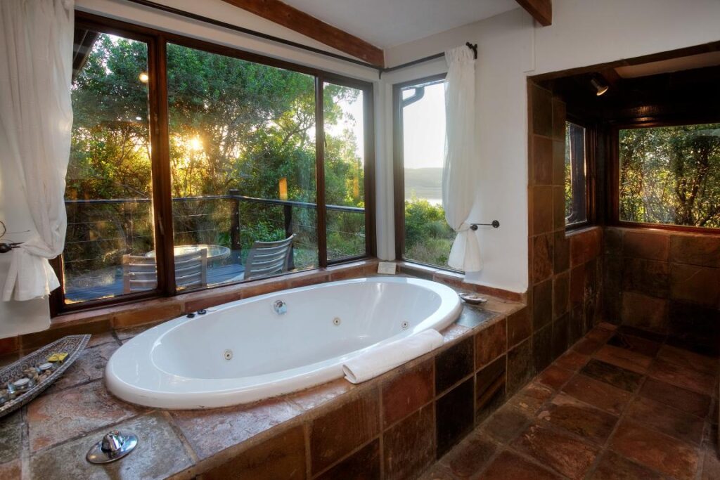 Elephant Hide of Knysna Guest Lodge (7)
