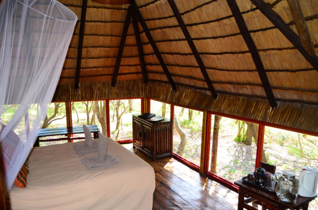 Pezulu Tree House Lodge (1)