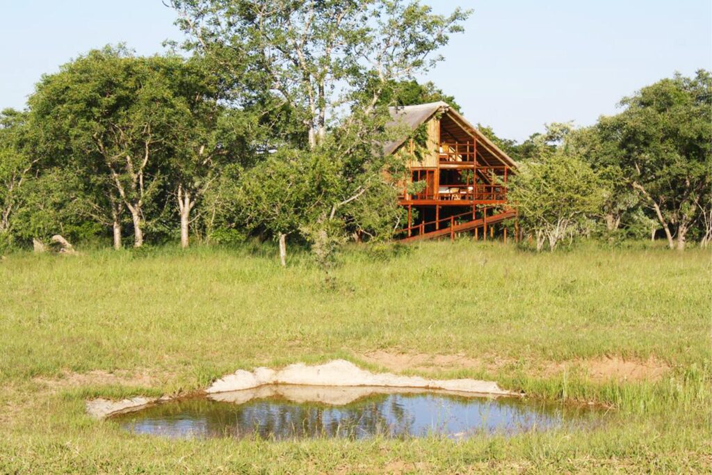 Pezulu Tree House Lodge (21)