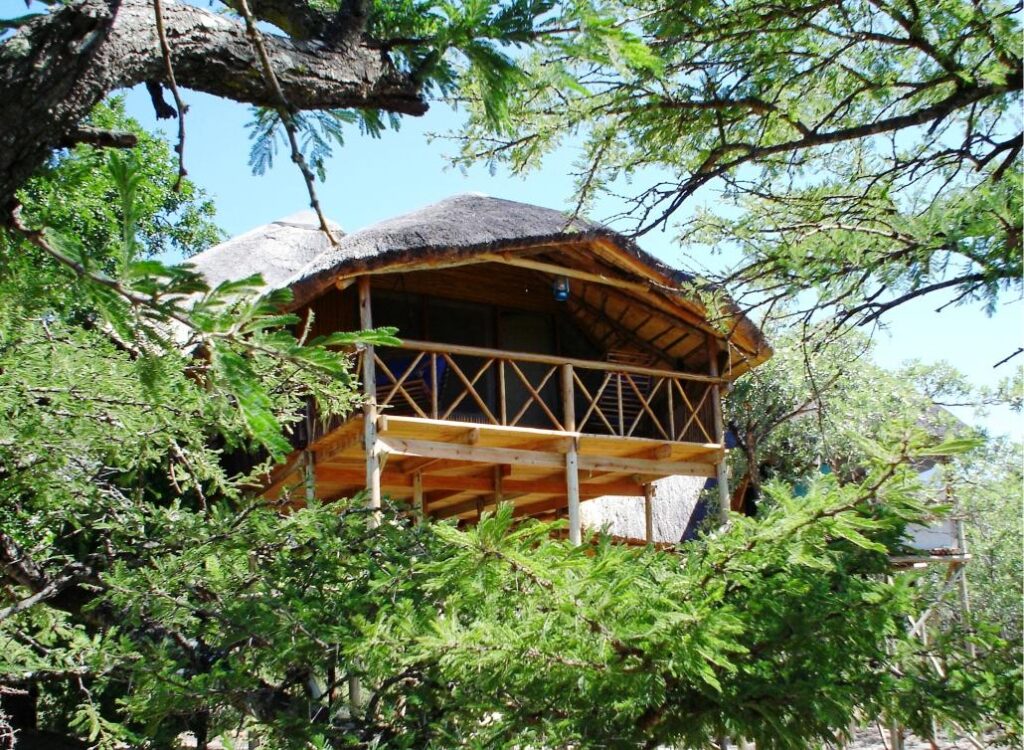 Pezulu Tree House Lodge (22)