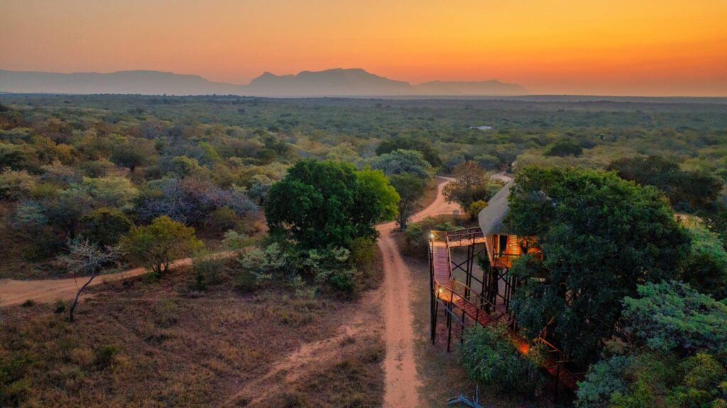 Pezulu Tree House Lodge (6)