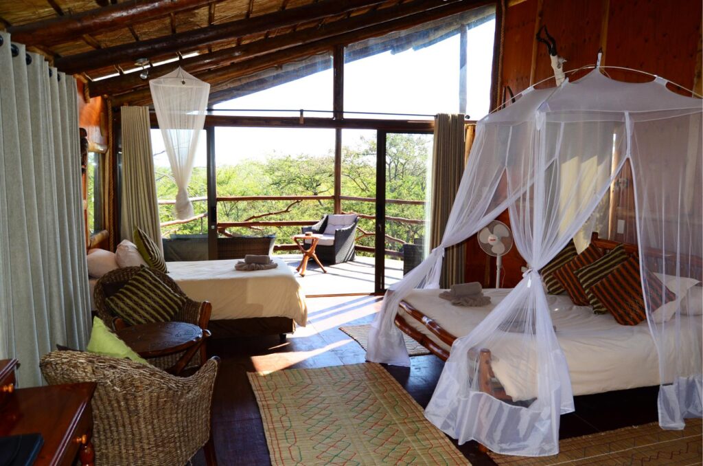 Pezulu Tree House Lodge (7)